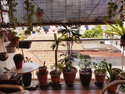 The Sunny Legend (D15), Apartment #198544852